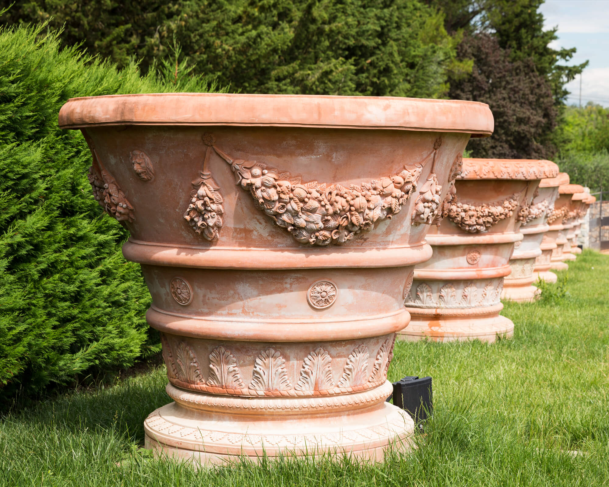 Caring for Terracotta Pots