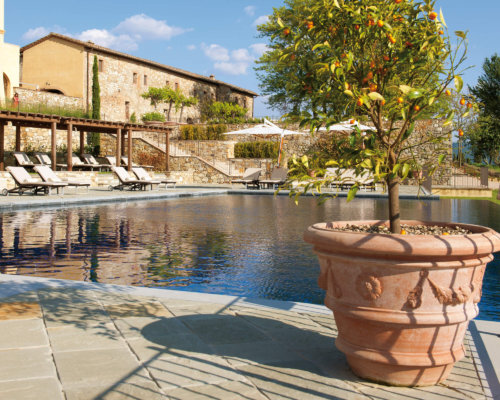 Terra Cotta Clay Pots in Your Pool Design