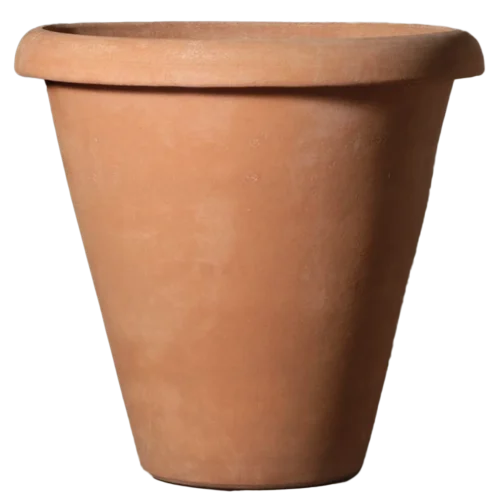 Vaso Alto