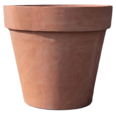 Vaso Azalea